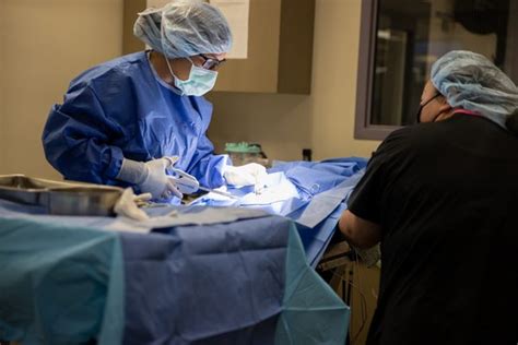 sf amc vet|vet fillmore sf.